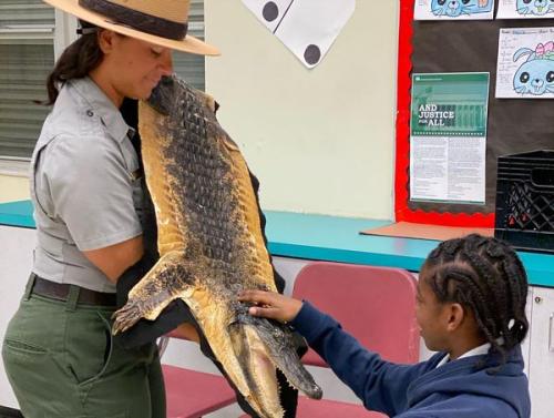 Everglades-Presentation